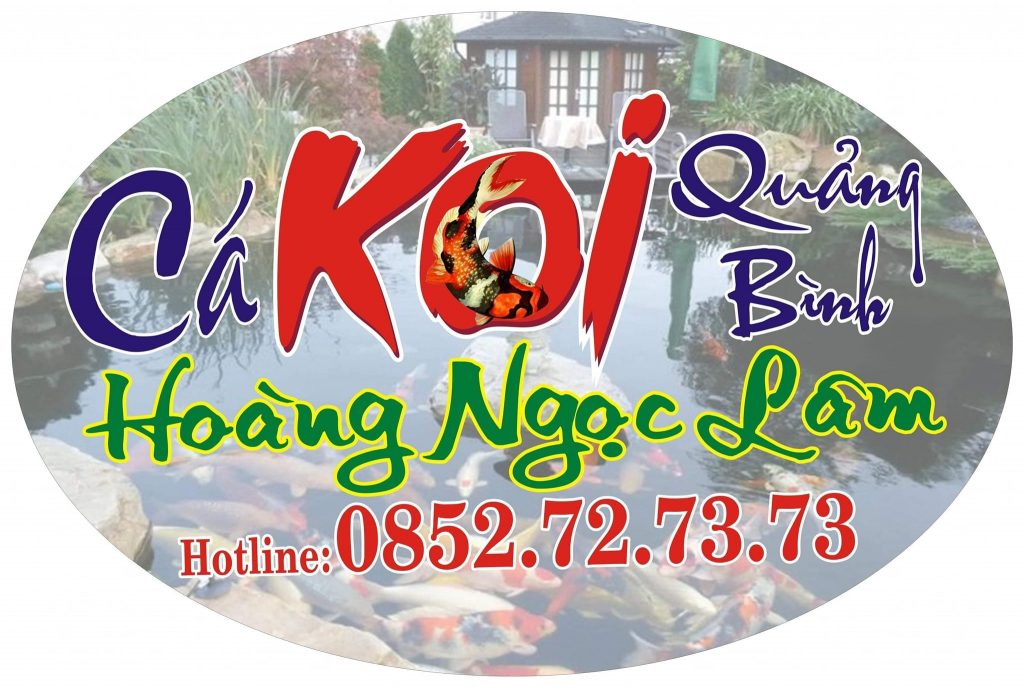 Cá Koi Quảng Bình - Hoàng Ngọc Lâm