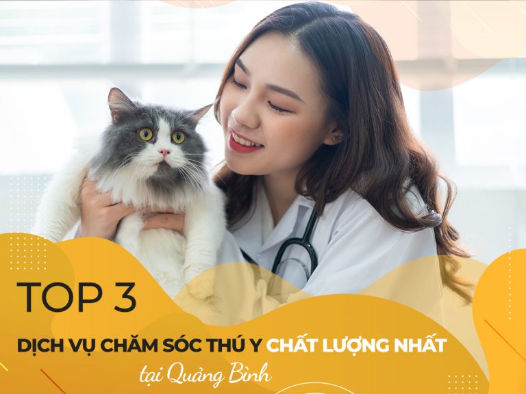 Top 3 dịch vụ chăm sóc thú y chất lượng nhất Quảng Bình