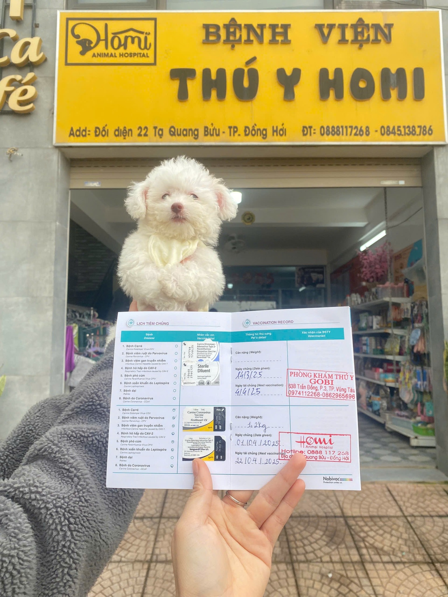 Bệnh viện thú y Homi