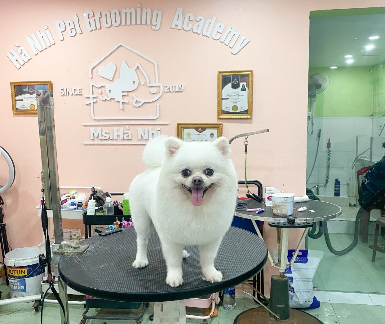Hà Nhi Pet House